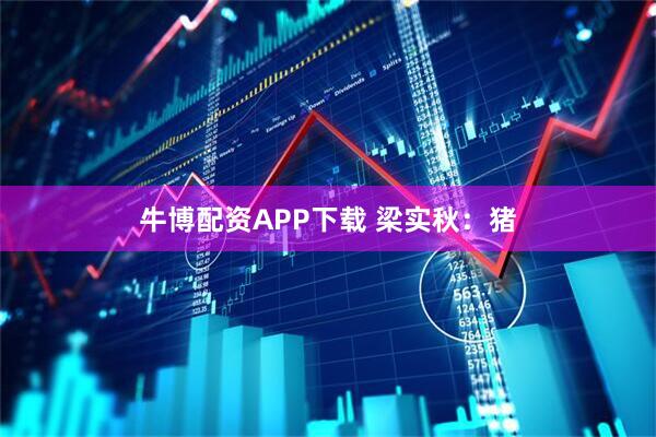 牛博配资APP下载 梁实秋：猪